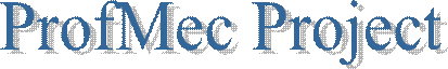ProfMec Project